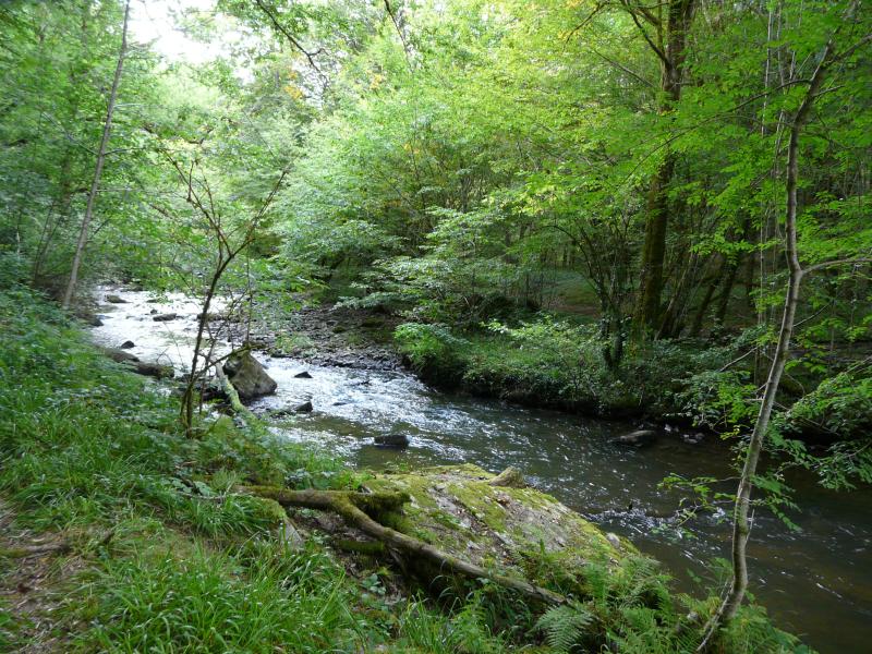 Saint-Médard-d'Excideuil