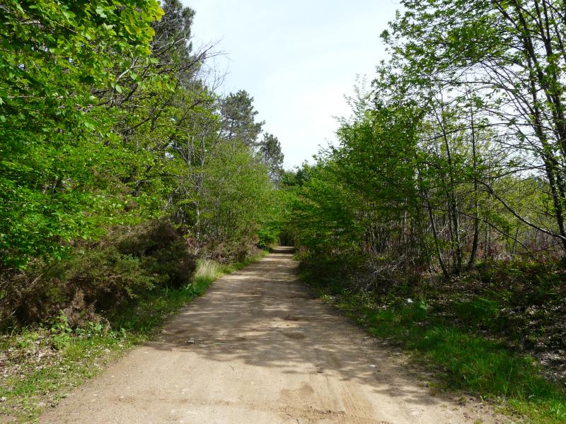 Saint-Sauveur