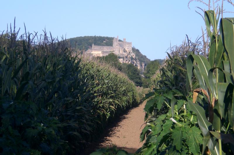 Saint-Vincent-de-Cosse