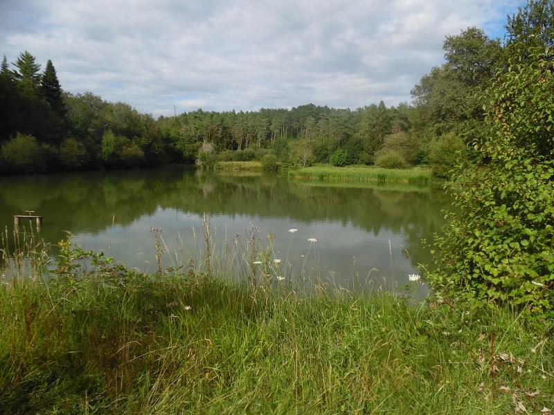Sceau-Saint-Angel