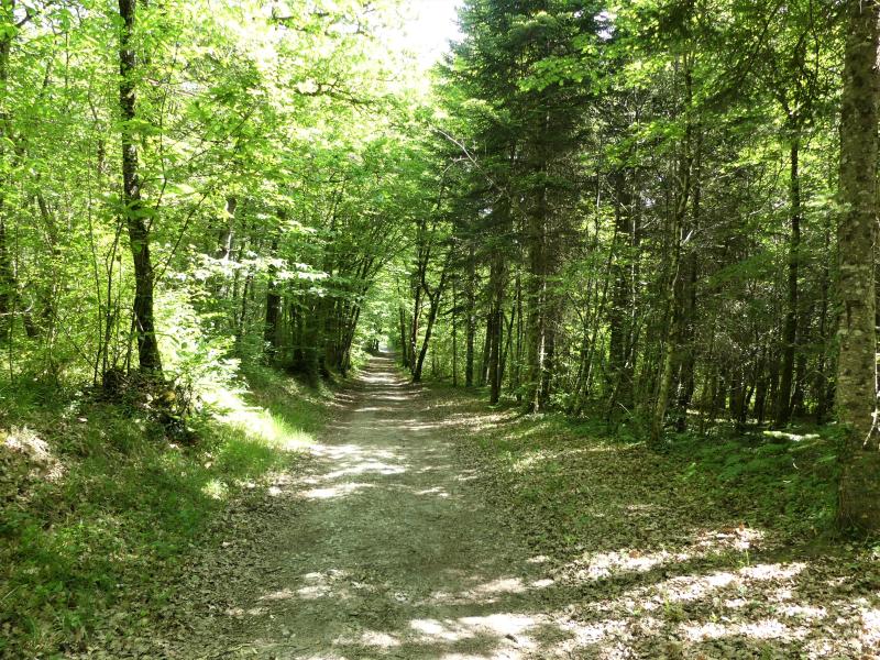Trélissac