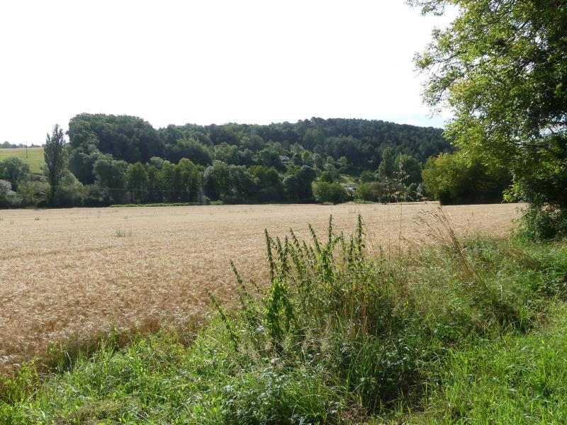 Vallereuil