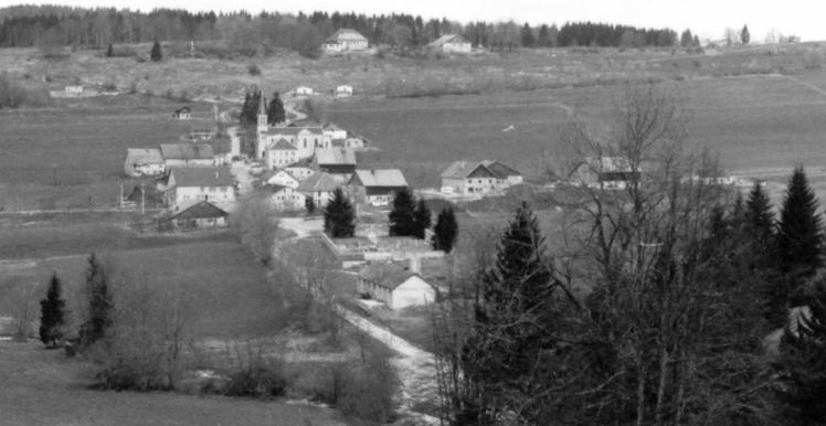 Les Alliés