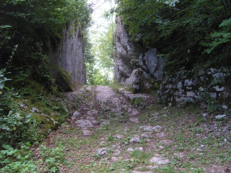 Boujailles