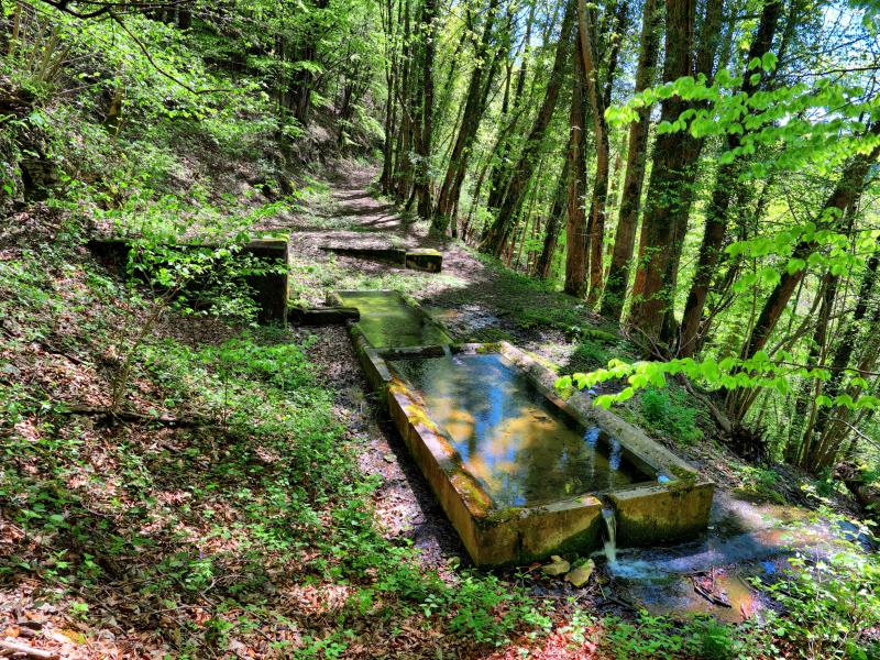 Chassagne-Saint-Denis