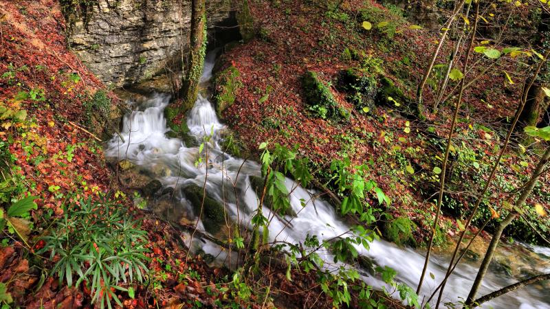 Cussey-sur-Lison