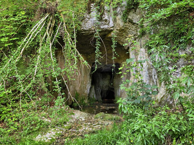 Épenouse
