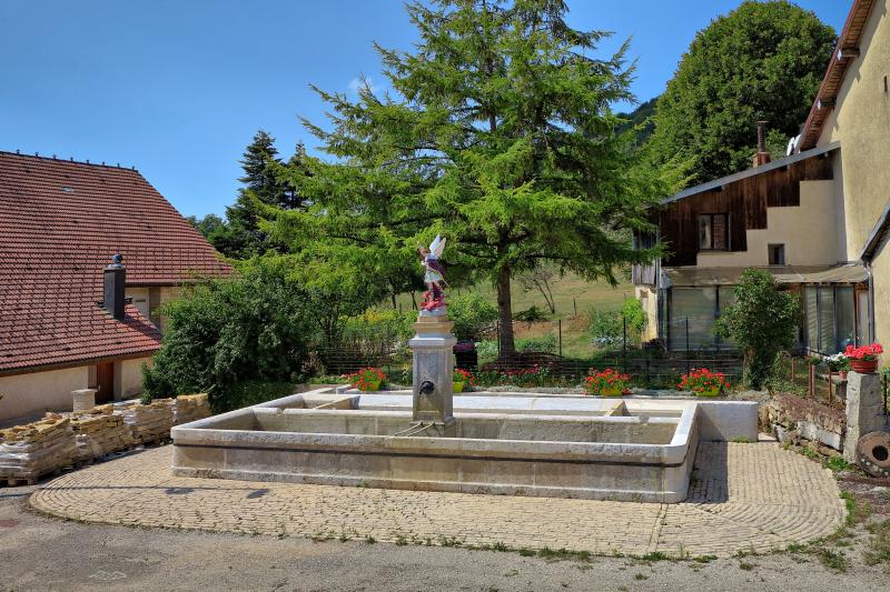 Laviron