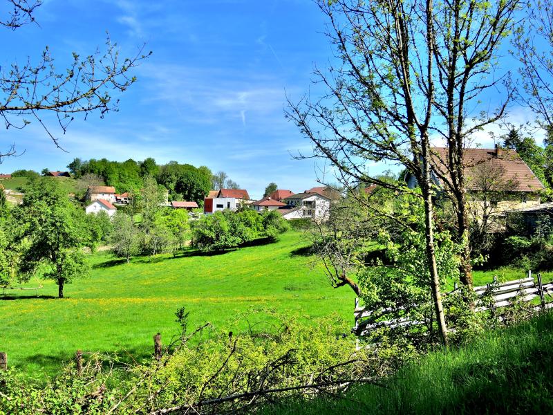 Passavant