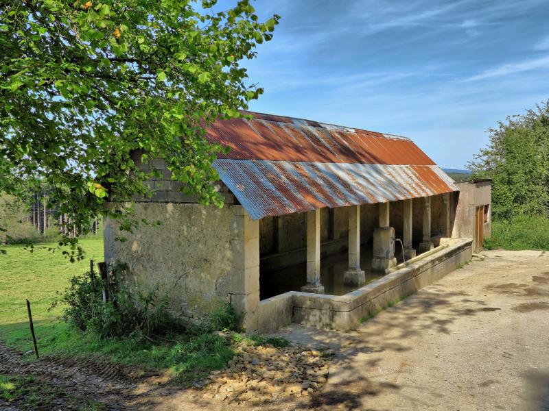 Passavant