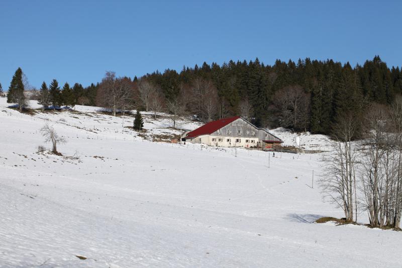 Rochejean