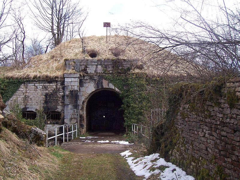 Vieilley