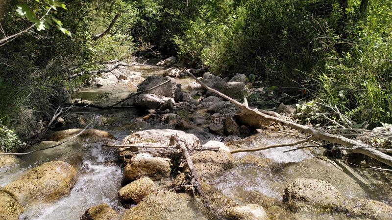 Chalancon