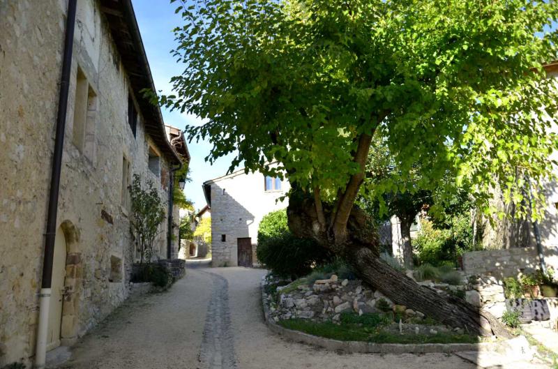 Cobonne