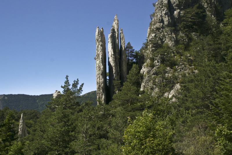 Glandage