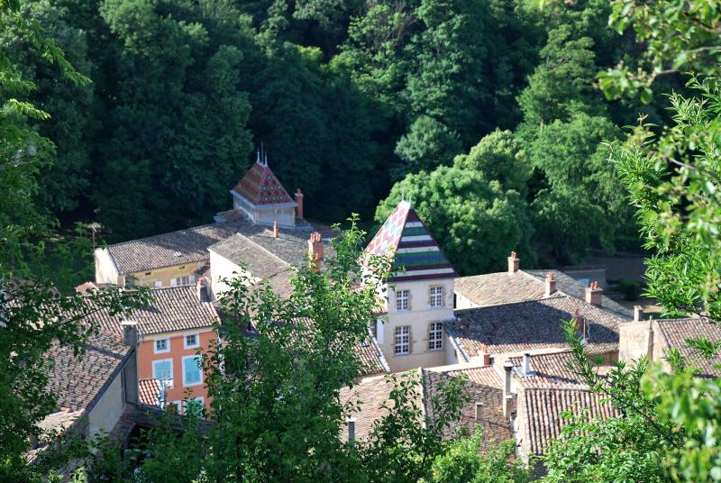 Grane