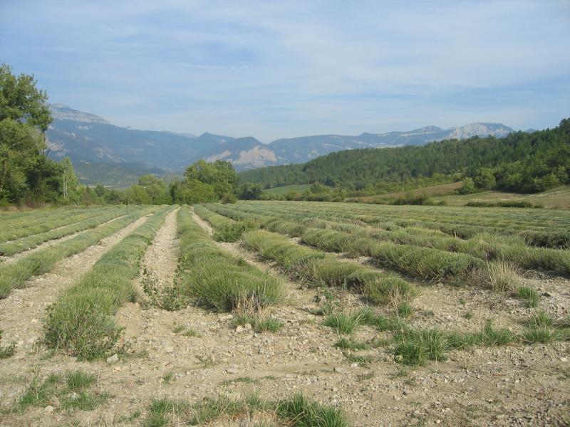 Montmaur-en-Diois