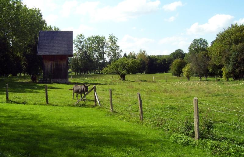 Livet-sur-Authou