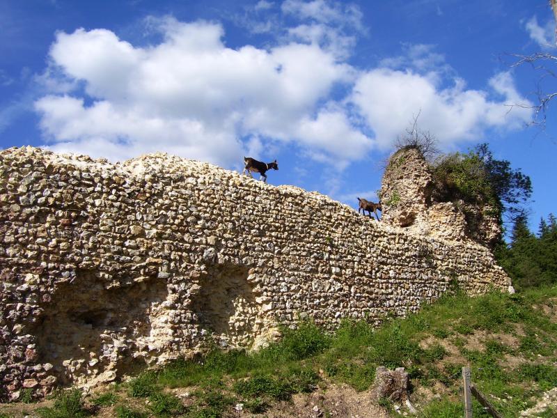 Montfort-sur-Risle