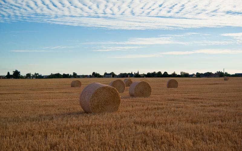 Tournedos-Bois-Hubert, Eure