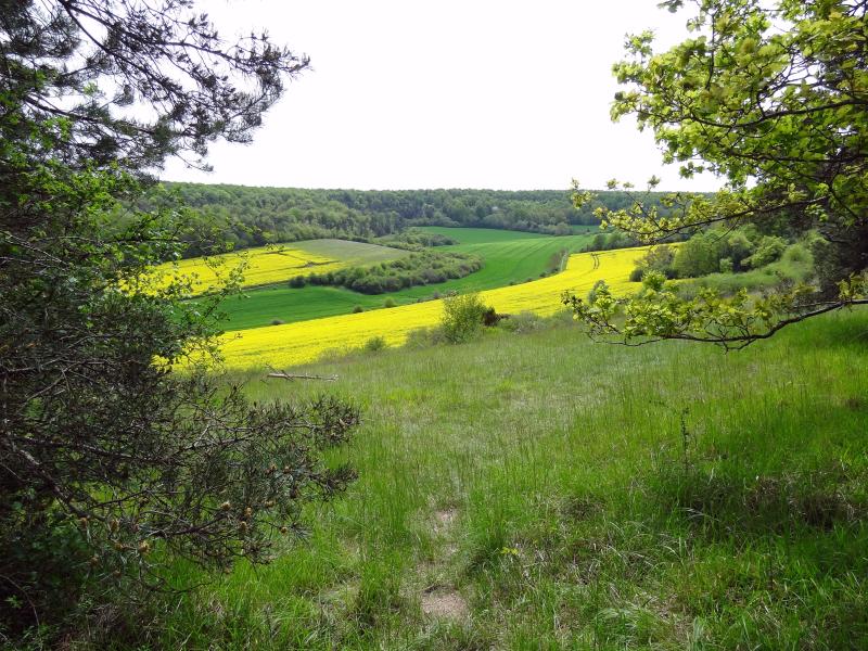 Boncourt