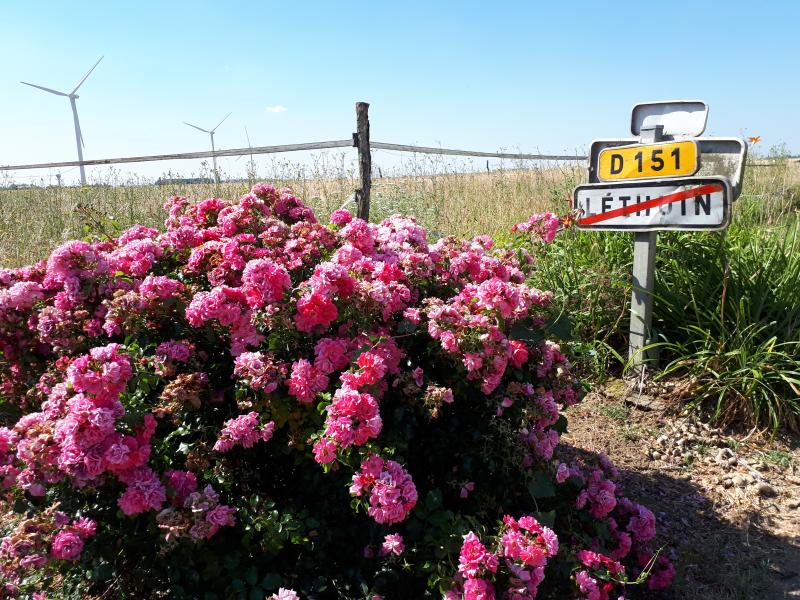 Léthuin