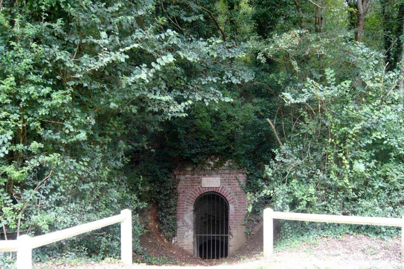 Lèves