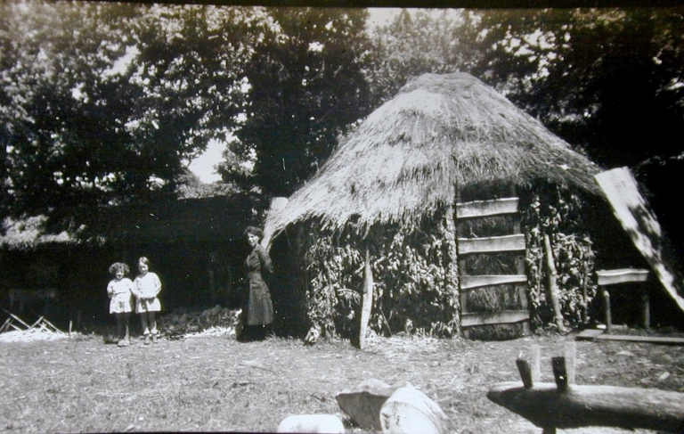 Baye