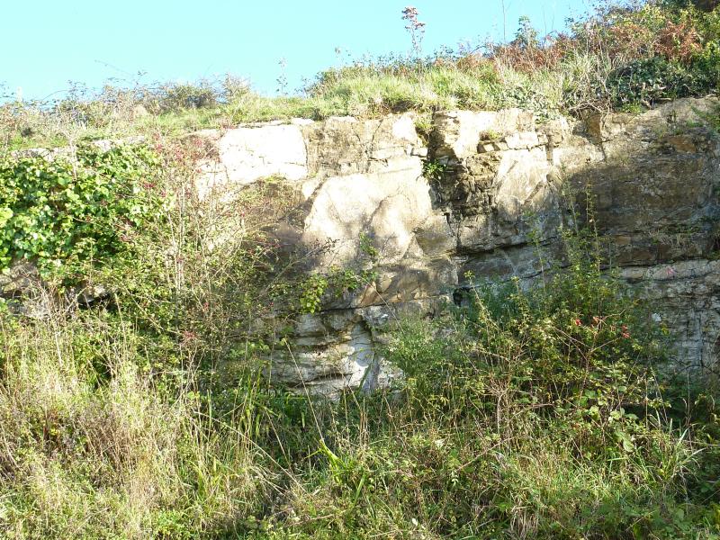 Crozon