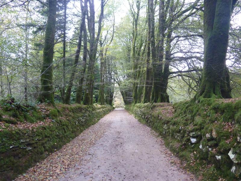 Hanvec