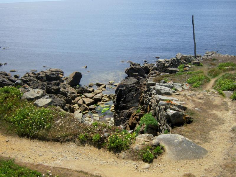 Primelin
