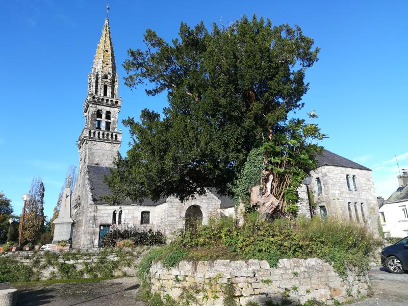 Tourch