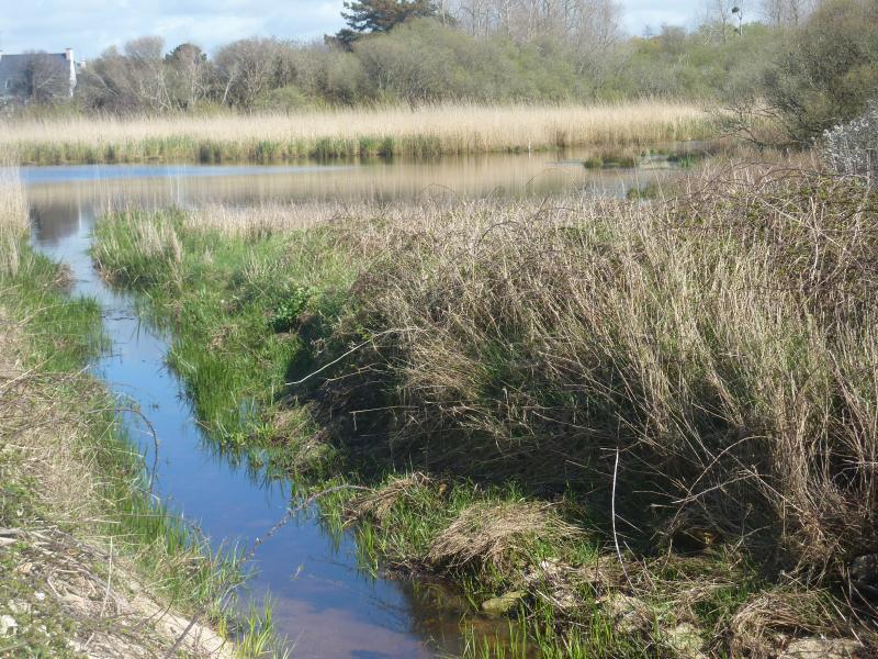 Trégunc