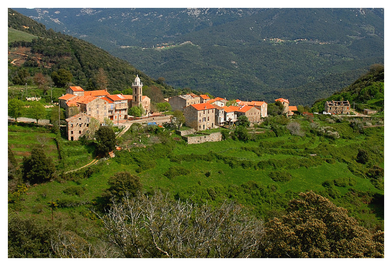 Altagène
