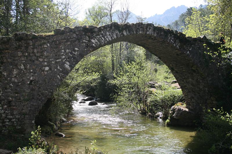 Bastelica
