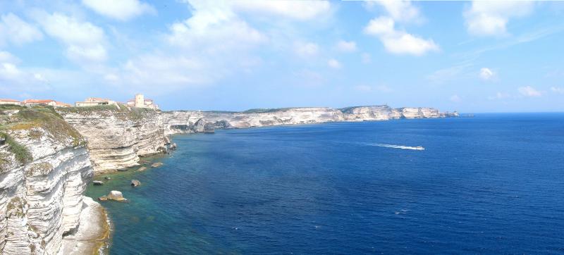 Bonifacio
