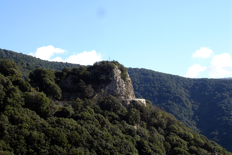 Cargiaca