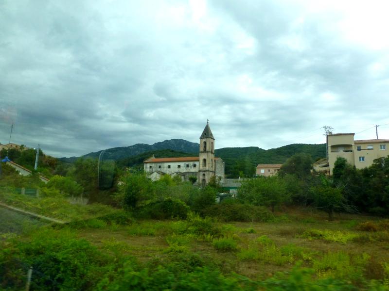 Cauro