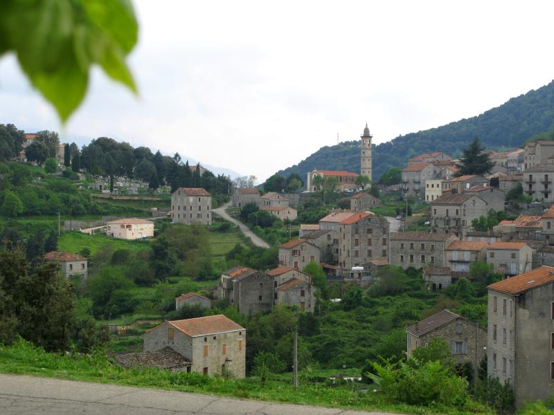 Figari