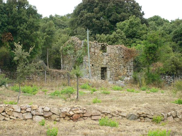 Giuncheto