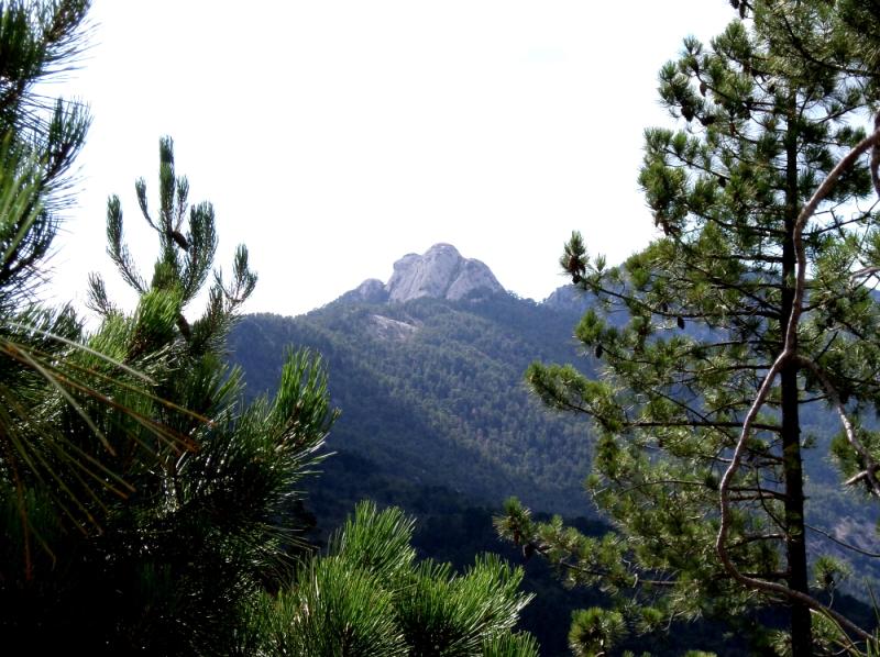 Guagno