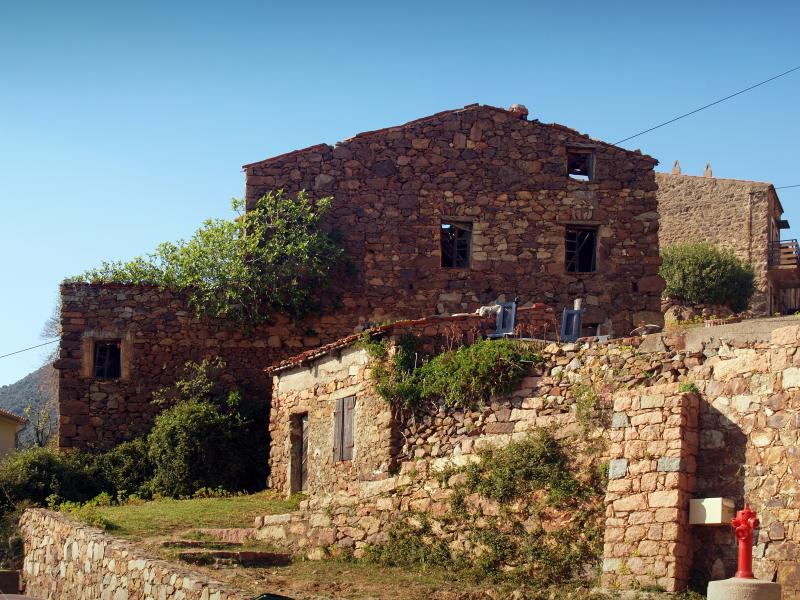 Partinello