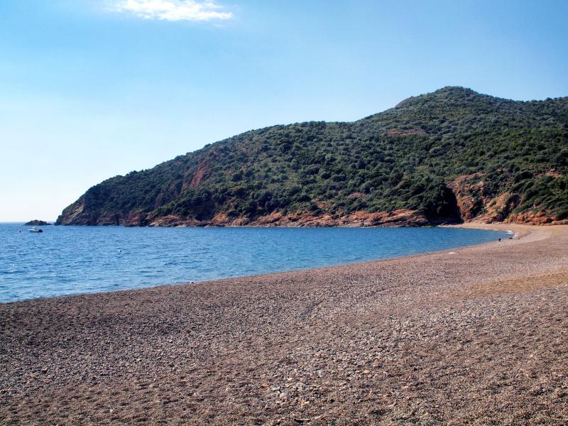 Partinello