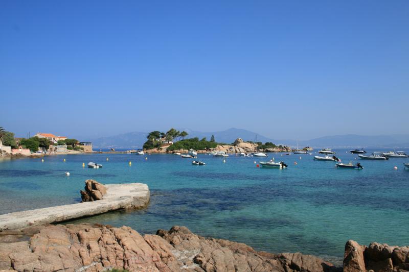 Pietrosella
