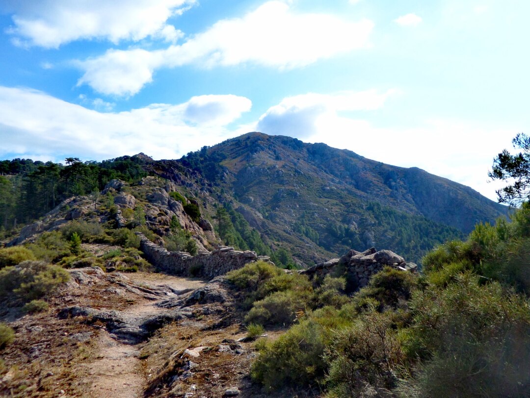 Photo 3 — Rosazia, Corse-du-Sud (20121)