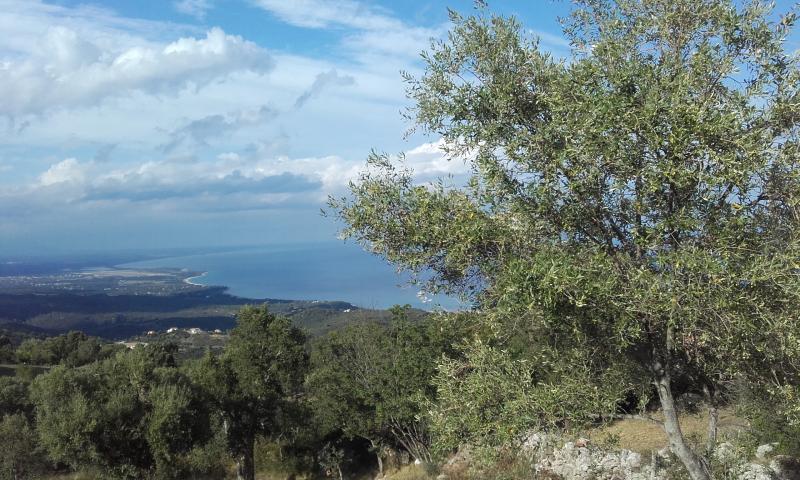 Sari-Solenzara