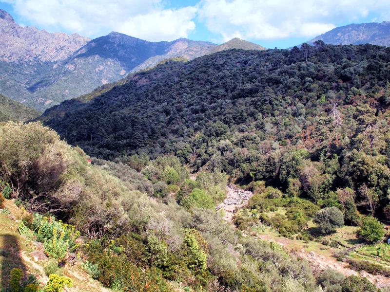 Serriera