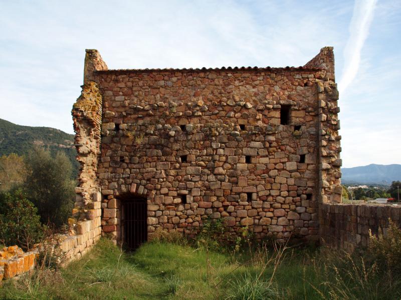 Vico