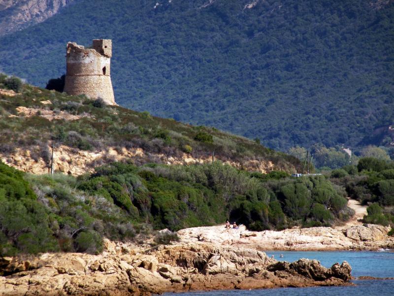 Vico