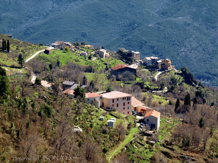 Bigorno